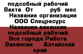 подсобный рабочий . Вахта. От 30 000 руб./мес. › Название организации ­ ООО Спецресурс › Название вакансии ­ подсобный рабочий - Все города Работа » Вакансии   . Алтайский край